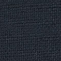 Agua_Fabrics_F_Zephyr_Midnight_150x150mm_300dpi.jpg