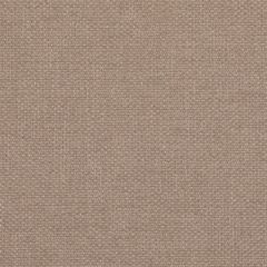 Agua_Fabrics_F_Zephyr_Mushroom_150x150mm_300dpi.jpg