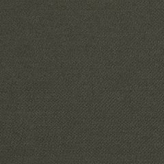 Agua_Fabrics_F_Zephyr_Olive_150x150mm_300dpi.jpg