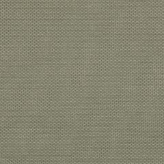 Agua_Fabrics_F_Zephyr_Sage_150x150mm_300dpi.jpg